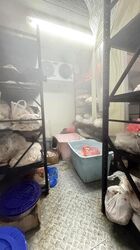 Mactaggart Foodlink (D13), Factory #454590631